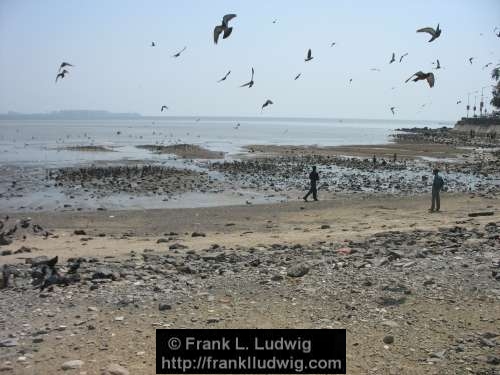 Chowpatty Beach, Bombay, Mumbai, India